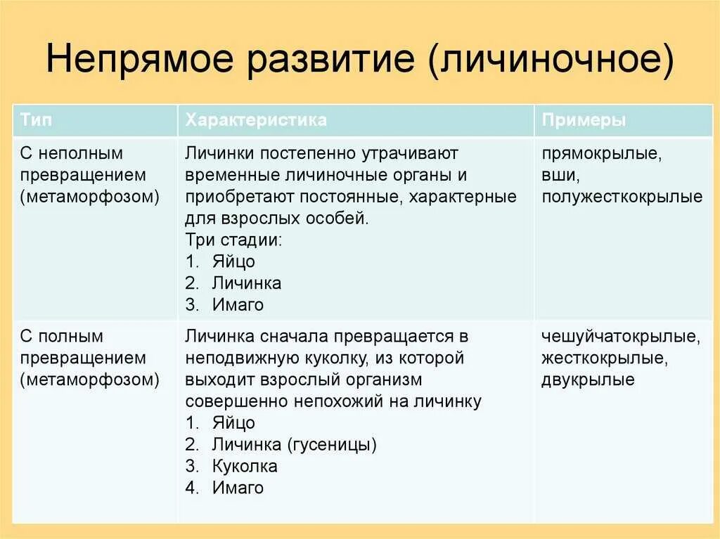 Непрямое постэмбриональное развитие примеры. Характеристика непрямого постэмбрионального развития. Непрямое развитие с полным и неполным превращением. Непрямое развитие полный и неполный метаморфоз. Прямые и косвенные характеристики