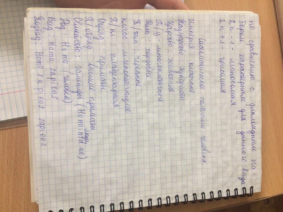 Конспект параграфа по истории. Конспект по истории в тетради. Конспект по параграфу. Конспект по истории 8 класс.