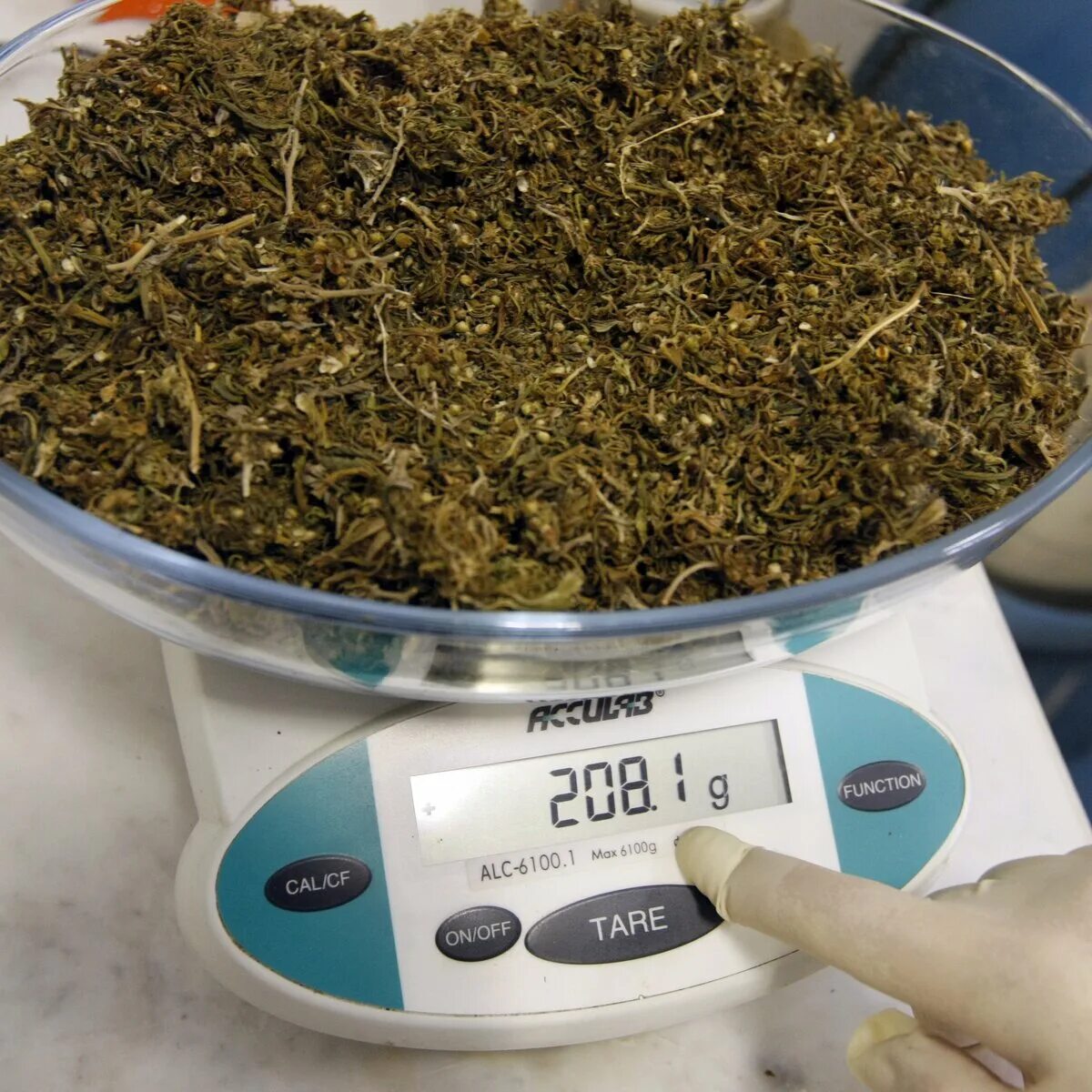 1 кг 70 г. Трава марихуана 100 грамм. 5 Гр марихуаны. 100 Кг марихуаны. Каннабис 1 грамм.