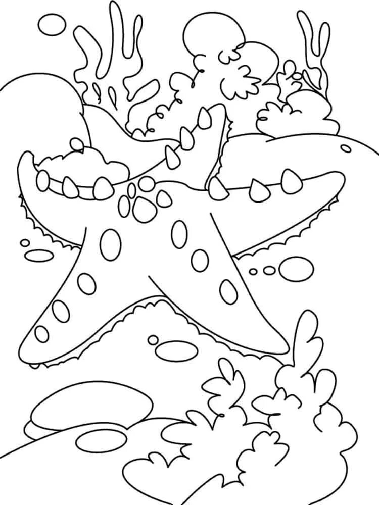 Раскраска морские обитатели. Морская звезда раскраска. Морское дно раскраска для детей. Раскраски для малышей морские обитатели. Морские обитатели распечатать