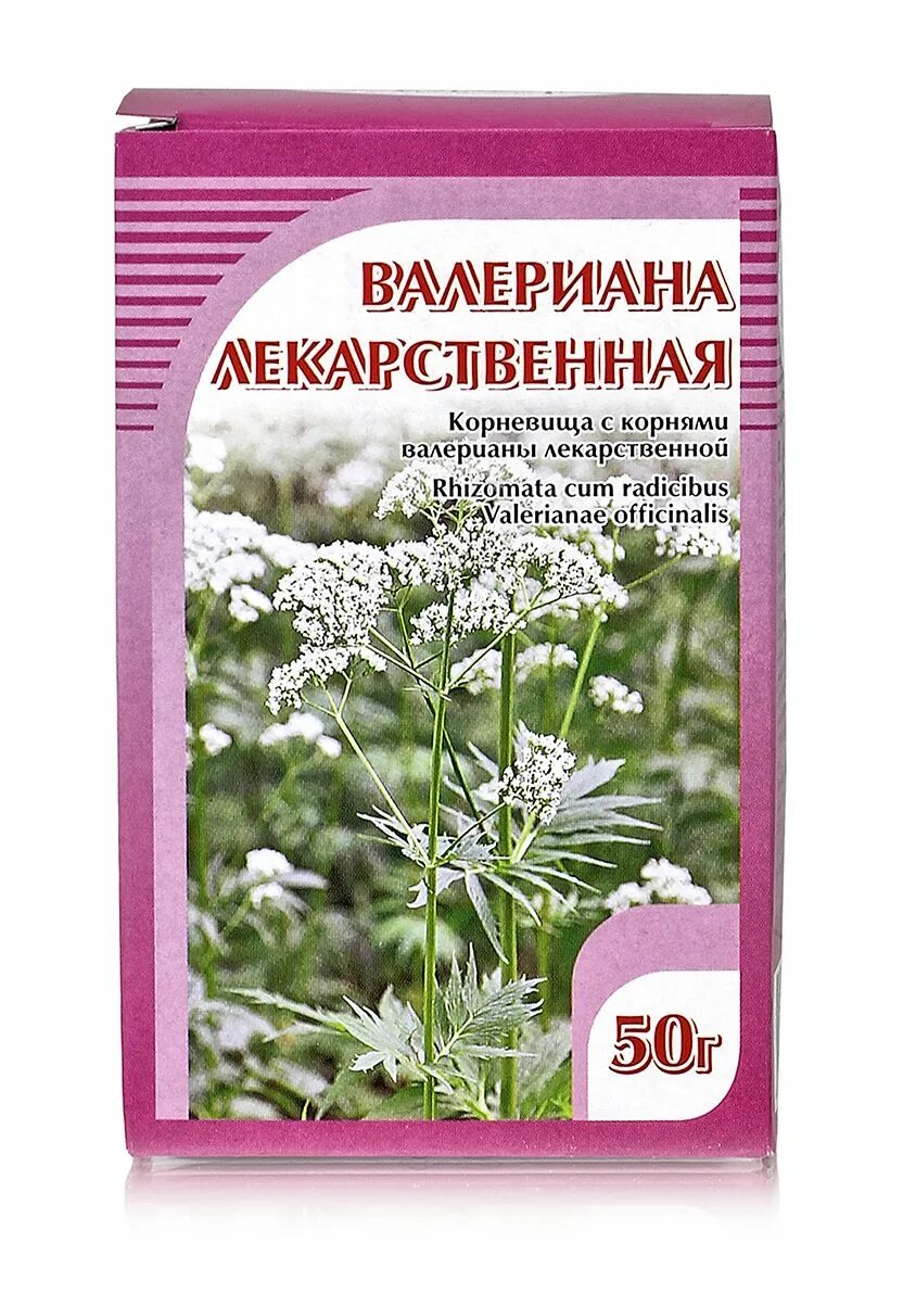 Валериана корень купить. Трава валерианы. Валериана лекарственная корень. Валерьяна лекарственная с корнем. Валерьянка трава в аптеке.