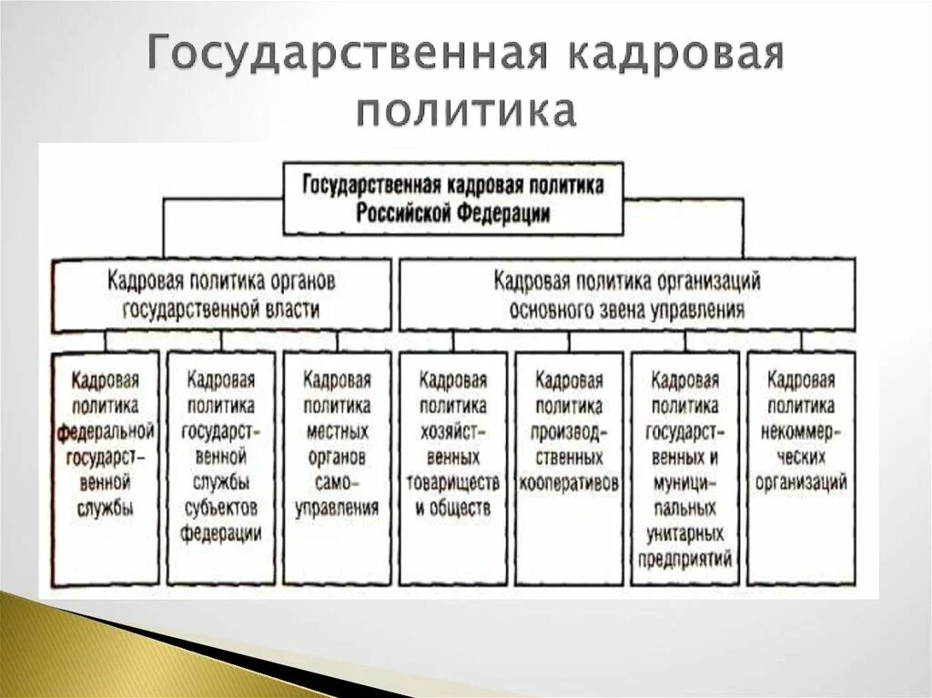 Государственная кадровая политика РФ. Основы кадровой политики организации. Презентация на тему кадровая политика организации. Государственная кадровая политика субъекты.