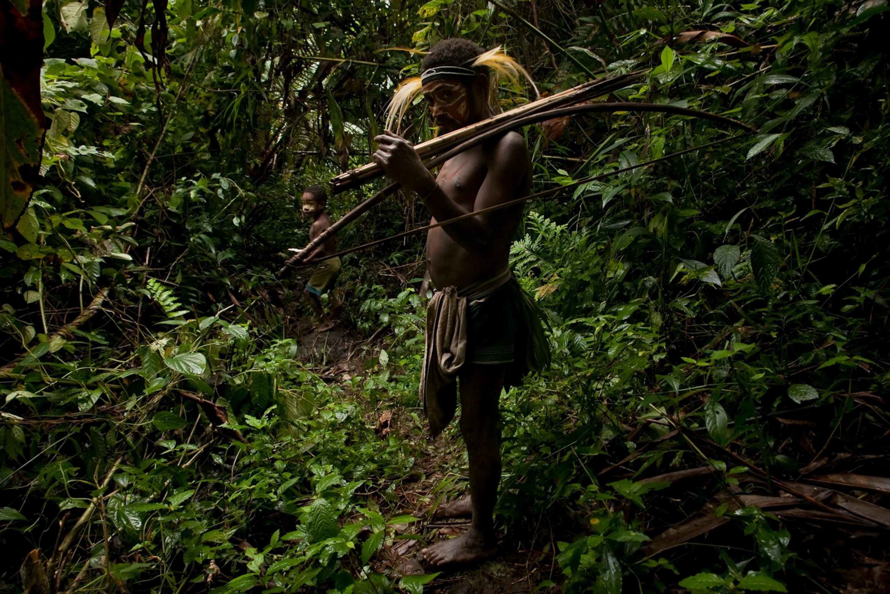 Спас в джунглях. Бразилия джунгли неконтактные племена. Неконтактные индейцы Амазонии. Охотники джунглей пигмеи. Племя моруака новая Гвинея.