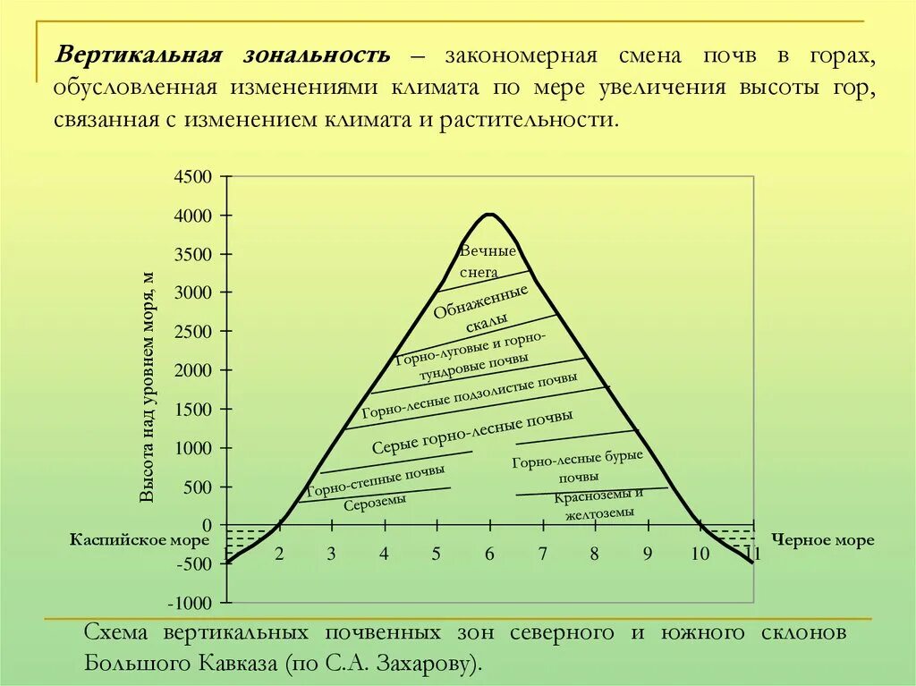 Какова причина зональности. Вертикальная зональность. Вертикальная зональность гор. Вертикальная почвенная зональность. Широтная и вертикальная зональность.