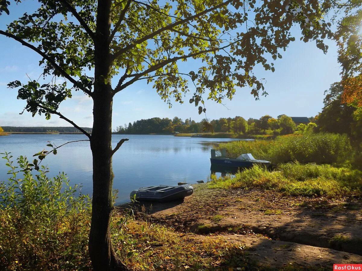 озеро селигер деревня пески. турбаза селигер озеро селигер. серебряное озеро селигер. озеро большой кисегач. кавголовское озеро.