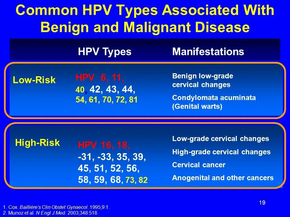 HPV risk. HPV DNA-81 hpv81 положительный. HPV:High risk 70+ 82+. Associated types