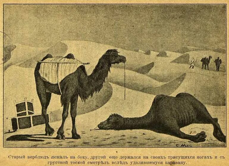 Верещагин верблюд во дворе Караван-сарая. Сарай в пустыне. Старый Караван. Караван армян в пустыне.