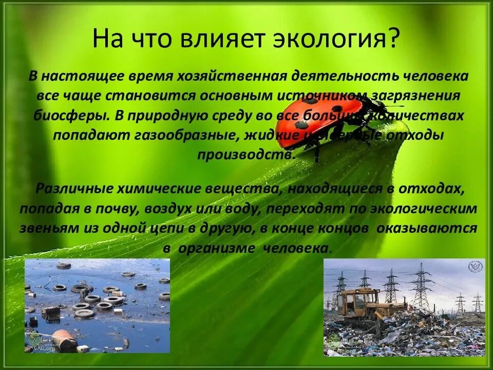 Влияние людей на окружающую среду на английском. Экология презентация. Окружающая среда экология. Проблемы экологии. Презентация на тему экология.