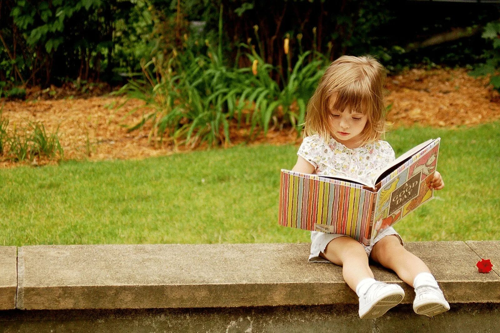Любопытство 3. Дети читают. Книги для детей. Книга для девочек. Девочка с книжкой.