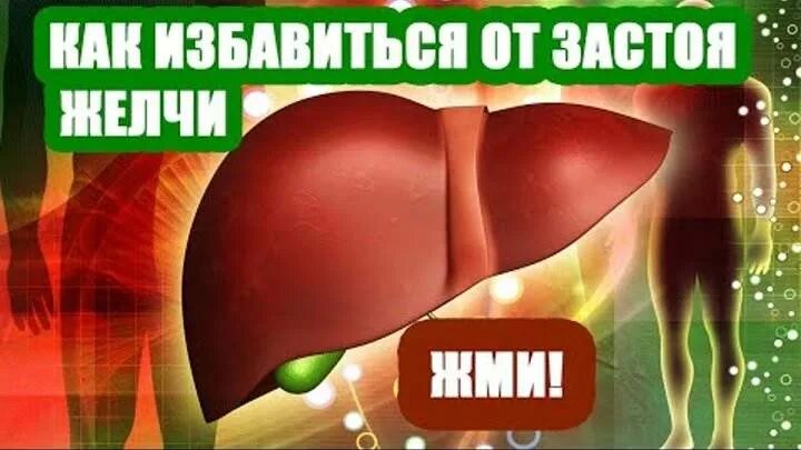 Застой в печени симптомы. Застойный желчный пузырь. Желчегонный пузырь. Застой желчи в желчном.