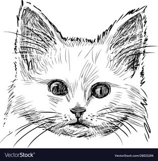 Белый кот рисовать