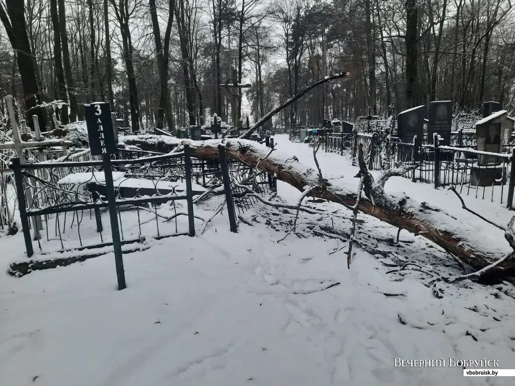 Минское кладбище. Козыревское кладбище в Минске. Минское кладбище Бобруйск. Бобруйск Восточное кладбище. Кладбище ломы Бобруйск.