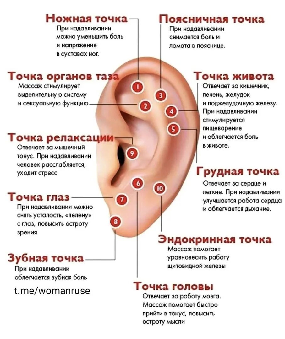 Какие точки надо массировать. Акупунктурные точки ушной раковины. Точки акупунктуры на ушной раковине. Ушная раковина точки акупунктуры органов. Активные точки на ушной раковине для массажа.