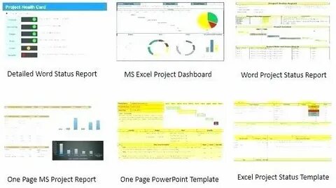 Project reports