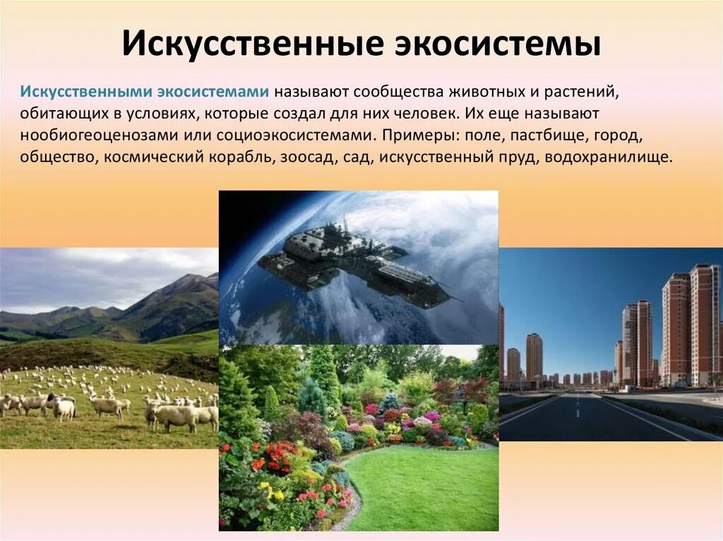 Какого названия антропогенных ландшафтов не существует. Искусственное эко. Искусственные экосистемы. Искусттвннные экосистема. Искусственные природные сообщества.