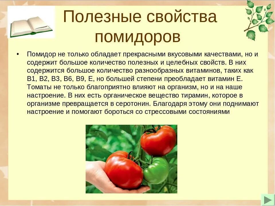 Помидоры сколько есть. Чем полезны помидоры. Какие витамины в прмилоре. Какие витамины в Помдор. Витамины в помидорах.