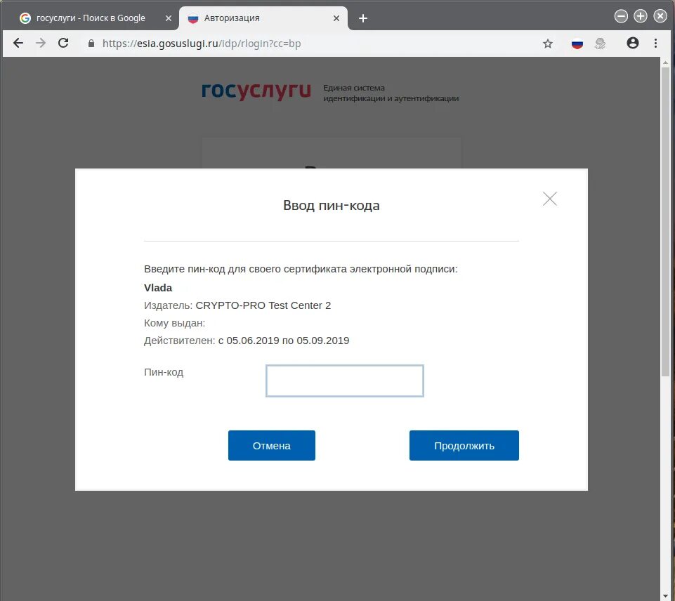 Как ввести код на госуслугах. Пин код госуслуги. Пин код электронной подписи. Расширение для плагина госуслуг. Плагин для браузера госуслуги.