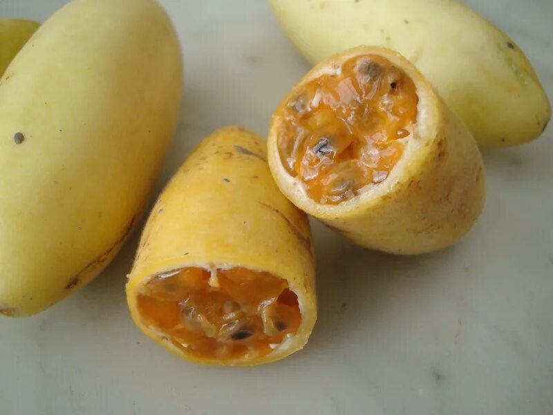 Картошка овощ или фрукт. Фрукт похожий на картофель. Овощ похожий на картошку. Желтый фрукт похожий на картошку. Фрукт картошка.