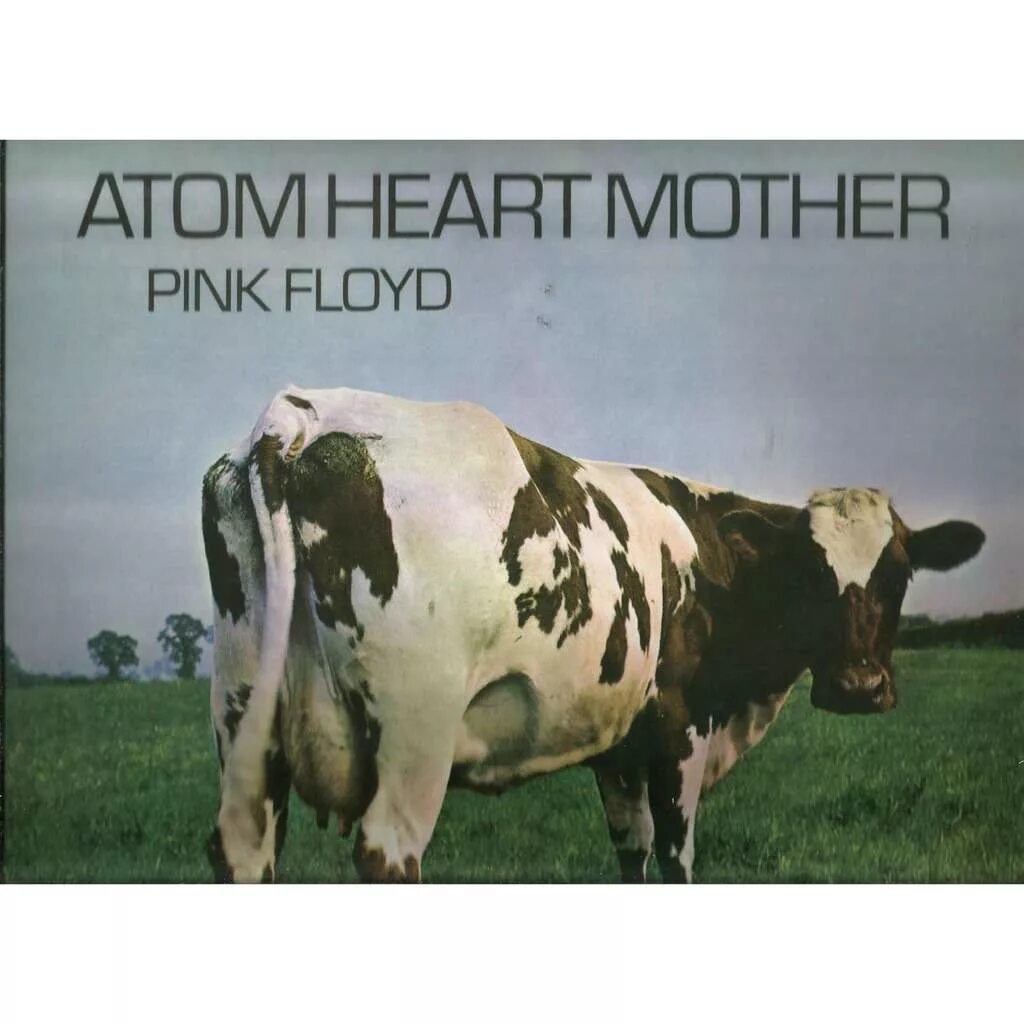 Pink floyd "atom heart mother". Pink floyd atom. Pink floyd atom heart mother обложка. Atom heart mother обложка. Pink floyd atom heart mother 1970.