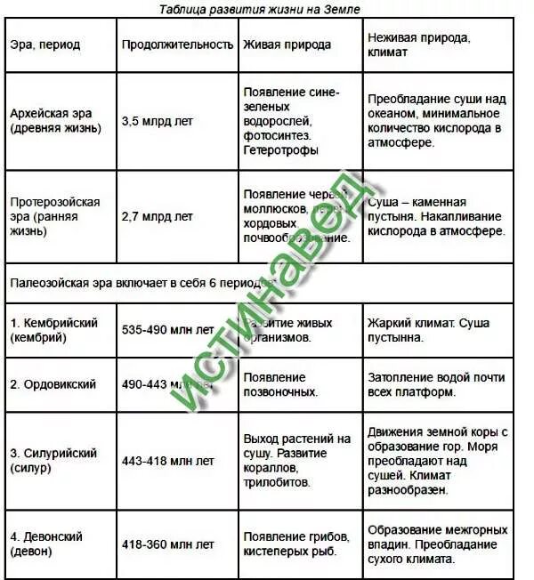 Таблица по биологии этапы развития жизни на земле эры периоды. Этапы развития жизни на земле таблица эры растение животные. Таблица развития жизни на земле по Эрам и периодам 11. Таблица по теме основные этапы развития жизни на земле.