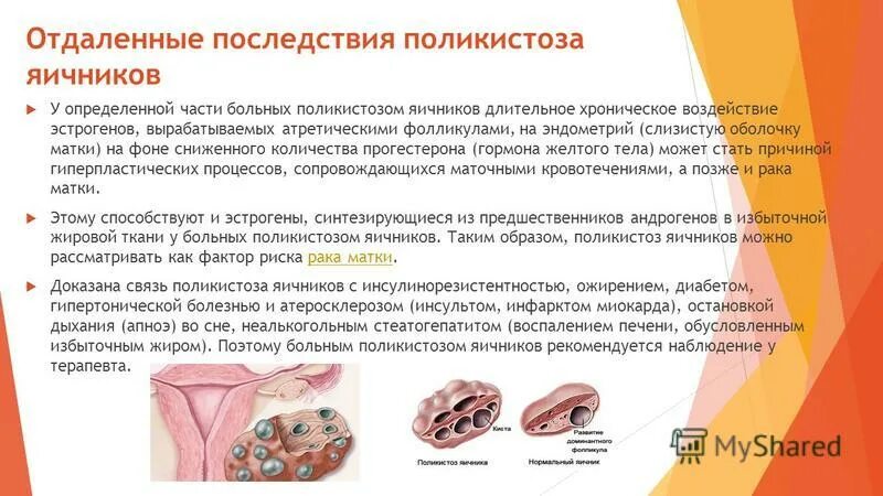 Какую функцию выполняют яичники. Какую функцию выполняют яичники