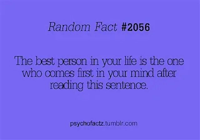 Рандомные факты. Рандом (2013). Узкоттон логотип png. Рандомный факт. Random fact.