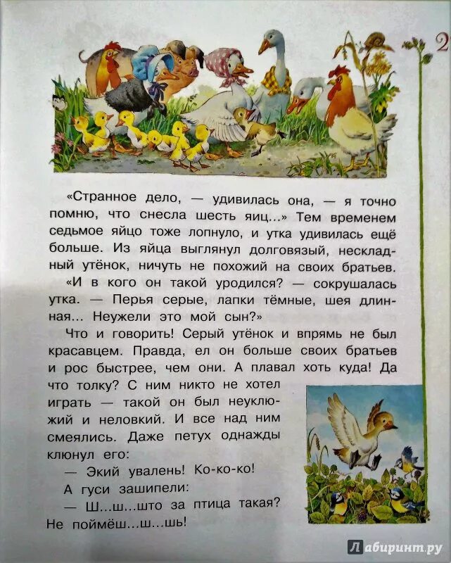 Гадкий утенок для босса читать полностью. Сказки Андерсана текси гаткий утенок. Гадкий утёнок Андерсен краткий рассказ. Рассказ Гадкий утенок. Отрывок из сказки Гадкий утенок.