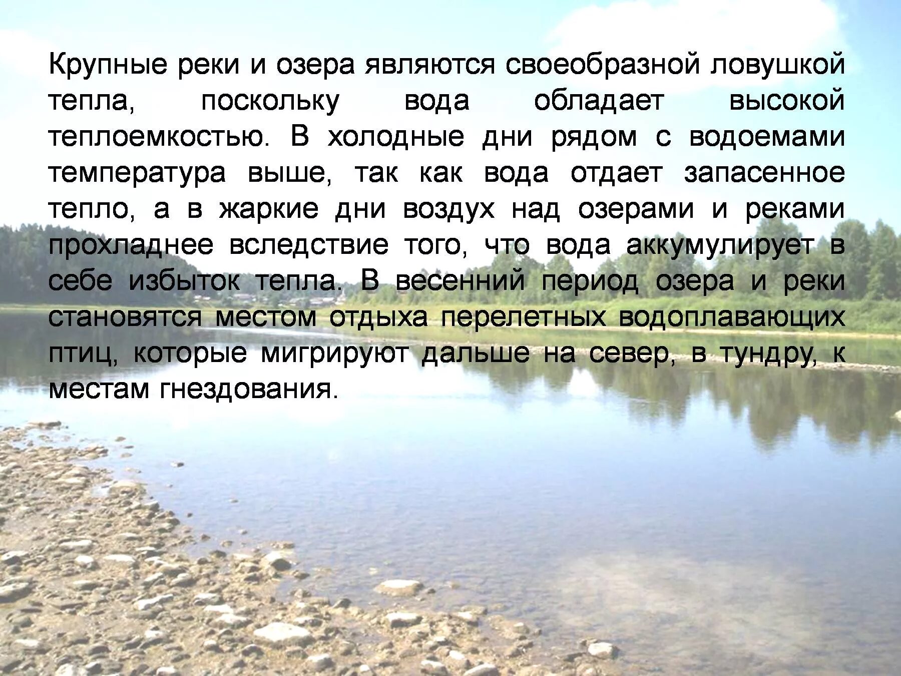 Информация о водоемах. Защита о пресных водоёмов. Охрана водоемов. Охрана водоёмов от загрязнения. Описание холодного дня