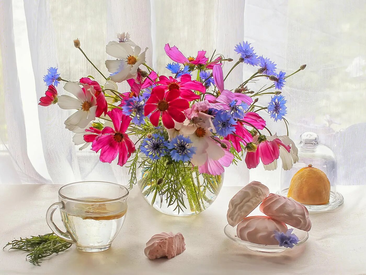 чудное утро. утренний натюрморт с цветами. цветы на окне. натюрморт хорошее настроение. светлого утра.