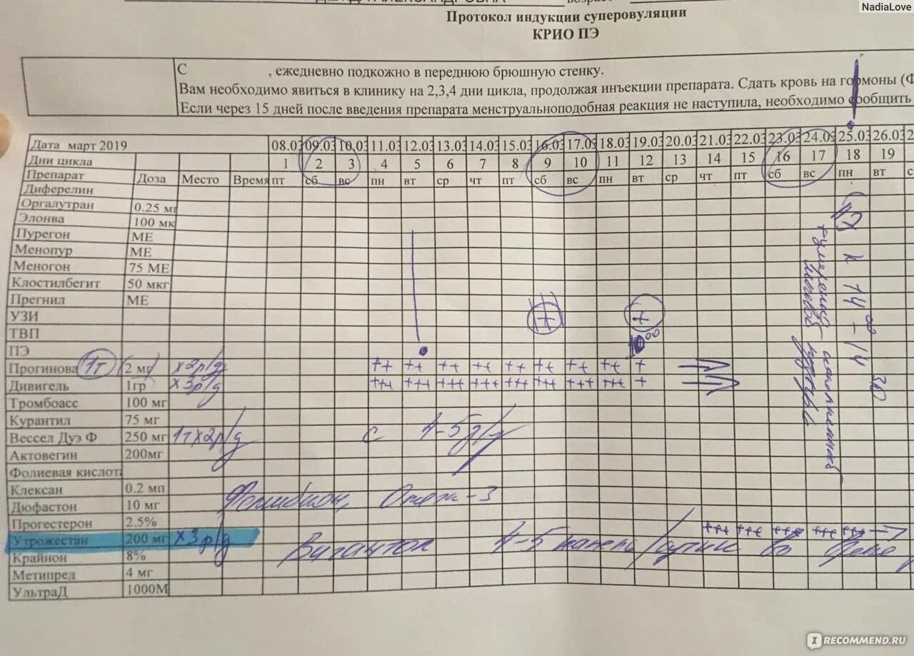 Криоперенос удачные протоколы. Протокол эко. Что такое протокол при эко. Схема короткого протокола эко. Протокол переноса эмбрионов.