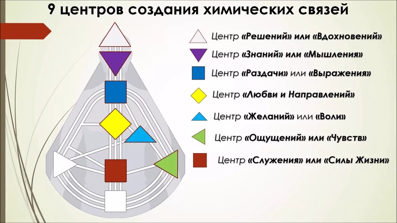 Горловой центр. Контуры в дизайне человека. Центры в дизайне человека. Дизайн человека типы. Иерархия авторитетов в дизайне человека.