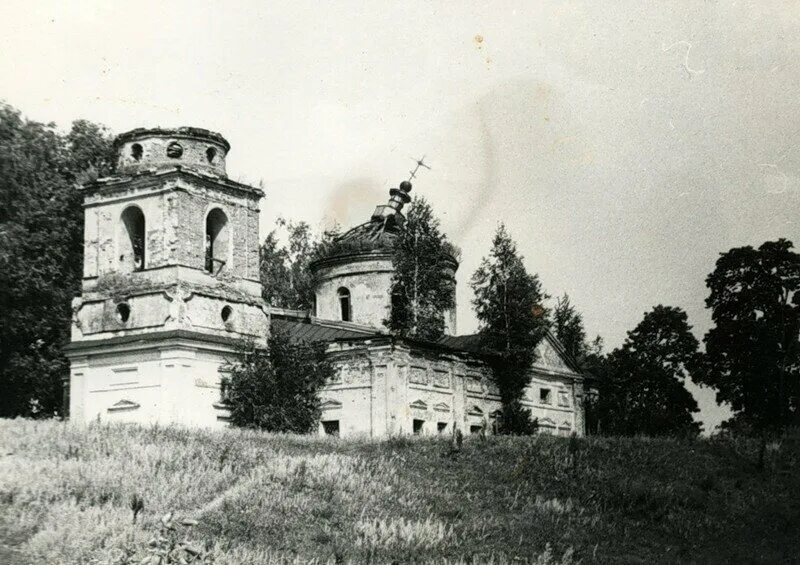 Колизей воронеж коттеджный поселок. 29. Староживотинное. Староживотинное рамонский. Дом веневитинова воронеж староживотинное.