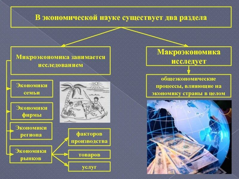 Экономическая наука. Современные экономические дисциплины. Дисциплины экономической науки. Что исследует экономическая наука.