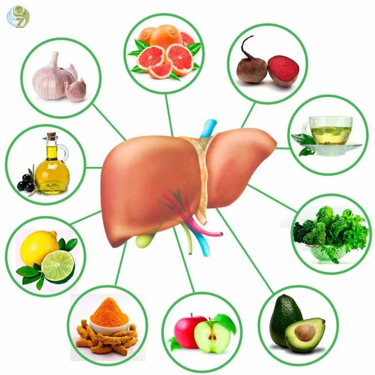 Какая еда полезно для печени. Продукты для печени. Продукти полезна для печен. Полезные овощи и фрукты для печени.