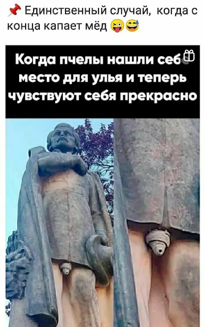 У какого молодца утром капает с конца. У какого молодца утром капает с конца