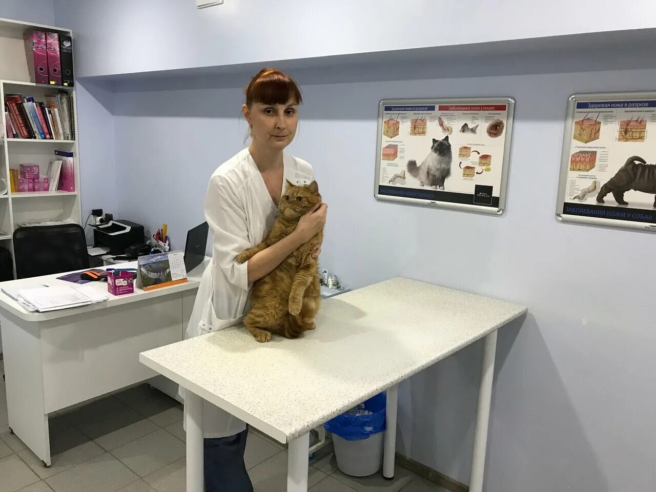 Волгоград ветеринарная круглосуточная. Травмпункт волгоград. Чулкова ветклиника волгоград. Травмпункт волгоград. Батова 4 волгоград.