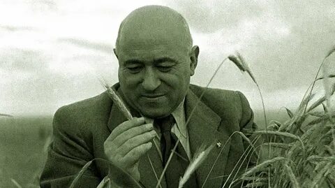 Венгерский писатель 4