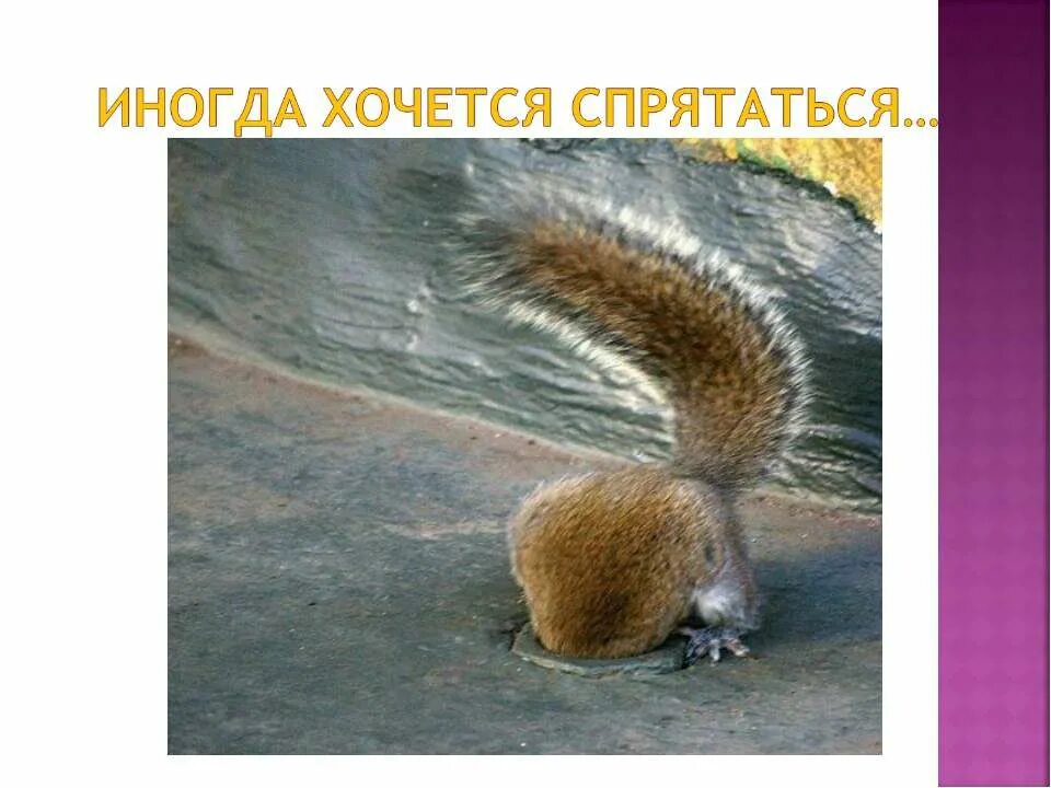 Стих боже мой как хочется мужчину. Так хочется спрятаться от всех. Хочется спрятаться от всех. Хочется спрятаться. Иногда хочется спрятаться от всех.