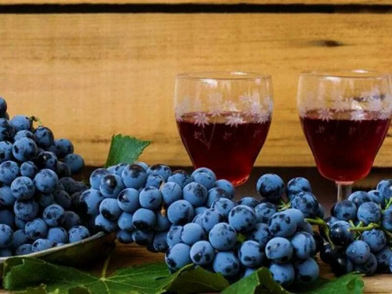 Настойка из черноплодной рябины. Самодельное вино. Самодельное вино. Домашнее вино. Вино из изабеллы.