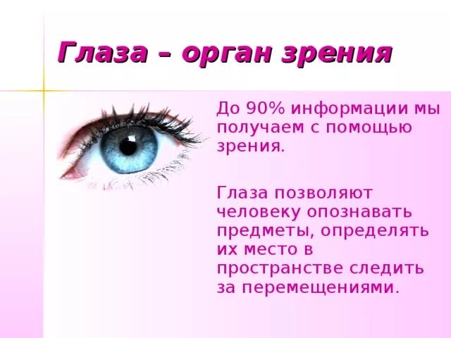 Органы чувств глаза 9 класс. Презентация на тему зрение. Глаз-орган зрения презентация. Глаза орган зрения 3 класс. Глаз для презентации.