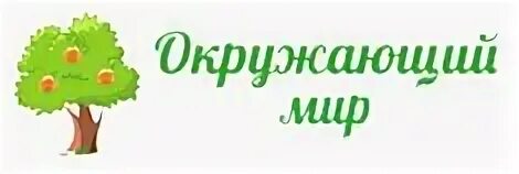 Слово окружен