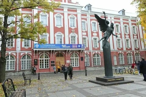 Инжи спб