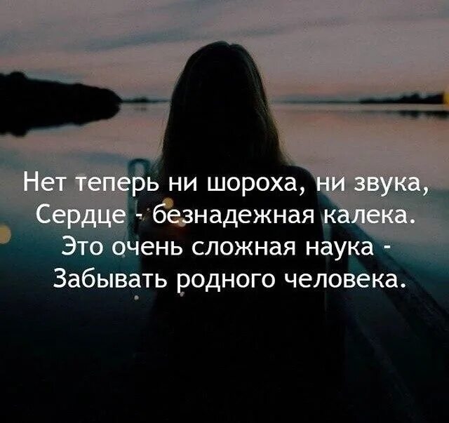 Нет ни звука ни шороха