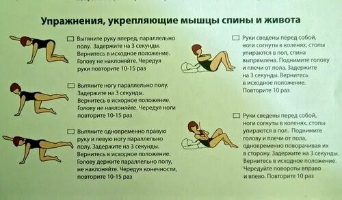 Упражнения для мышц живота и спины