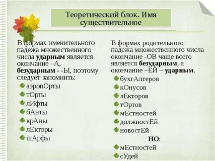 Флигель множественное число именительный падеж