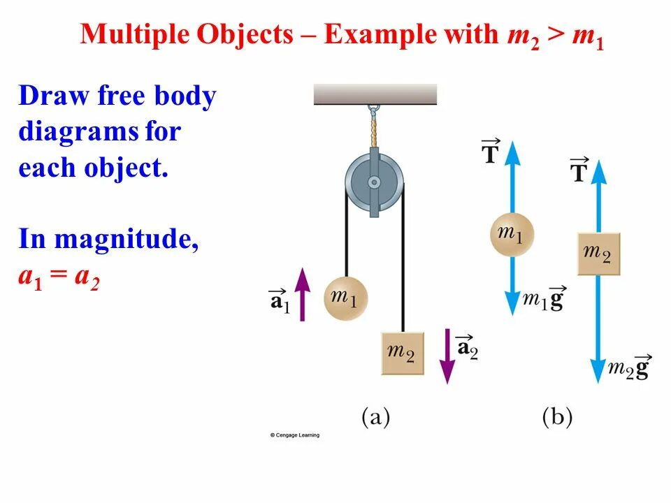 Object examples. Multiple objects