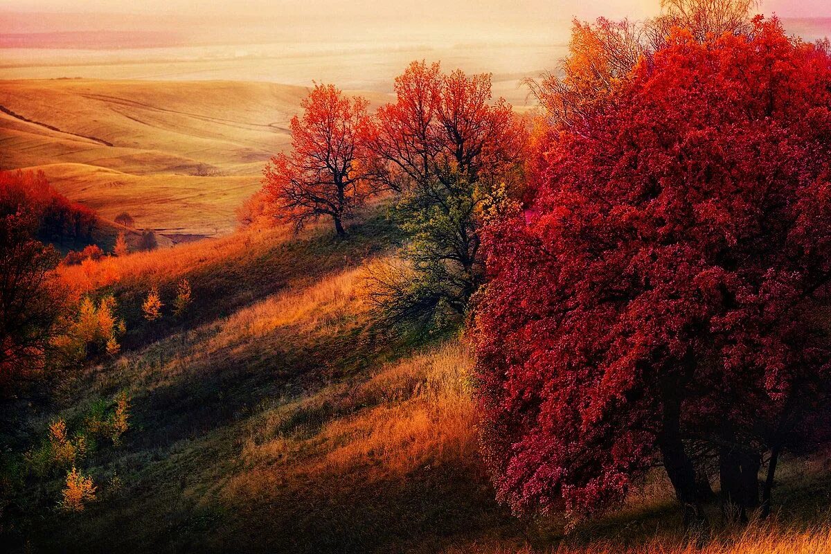 Красивая осень. Красота осени. Пейзаж. Природа осень.
