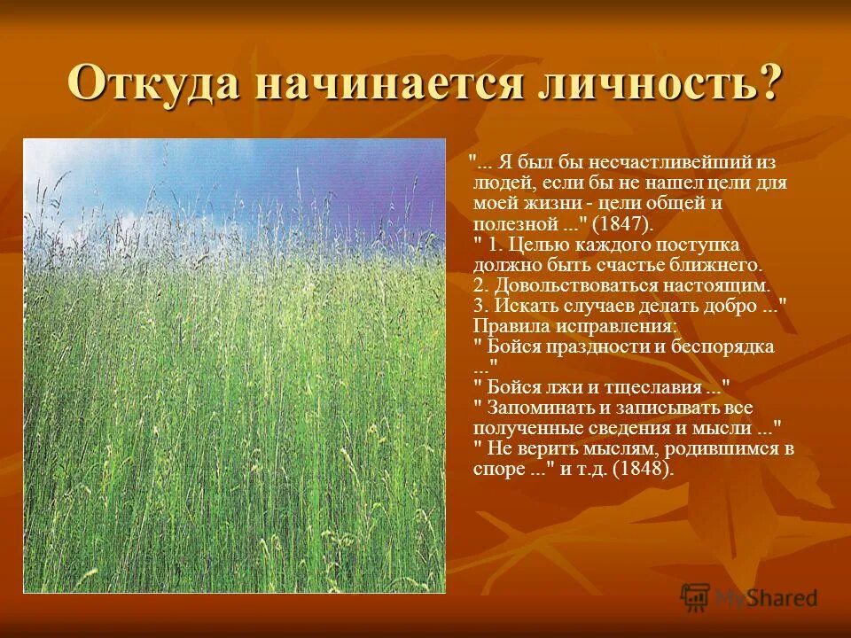 Развитие жизни на земле вывод. Как зарождалась жизнь на земле. Откуда начинается жизнь. Поверхность первобытной земли. Откуда начинается жизнь.