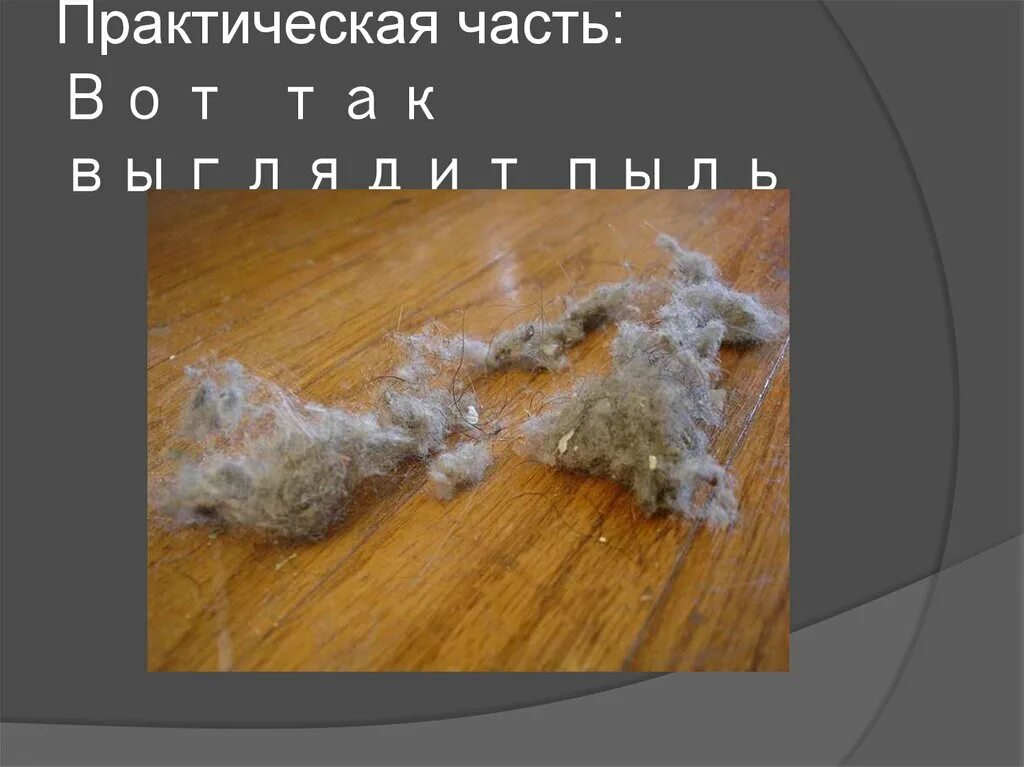 Пыль род. Серная пыль. пыль на сером диване. цветок в пыли как выглядит. как выглядит пыль с дивана.