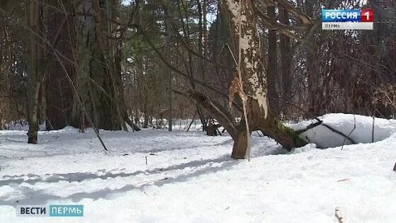 пермь река балтычиха. в пермском районе нашли. в пермском районе нашли. в пермском районе нашли. водоемы пермского края.